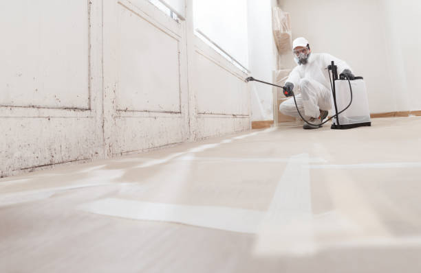 24/7 Emergency Attic Mold Remediation experts in South Elgin, IL