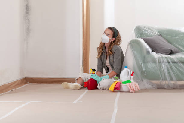 Reliable Attic Mold Remediation contractor in South Elgin, IL by 24 Hour Mold Removal
